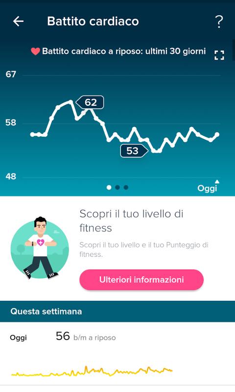 approfondimento fitbit 1