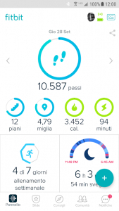approfondimento fitbit 2