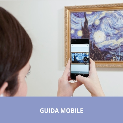 guida mobile